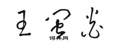 骆恒光王闽炎草书个性签名怎么写