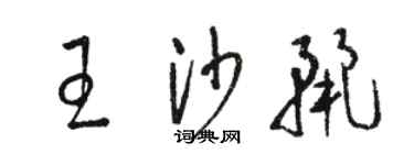 骆恒光王沙丽草书个性签名怎么写