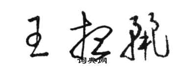 骆恒光王想丽草书个性签名怎么写