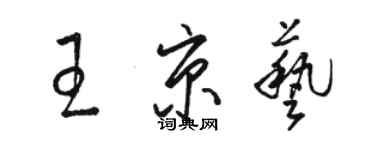 骆恒光王京艺草书个性签名怎么写