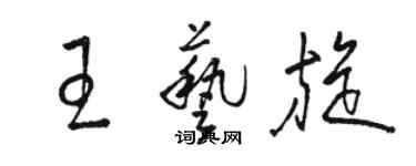 骆恒光王艺旋草书个性签名怎么写