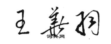 骆恒光王华羽草书个性签名怎么写