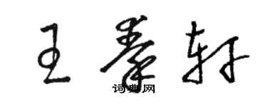 骆恒光王秦轩草书个性签名怎么写