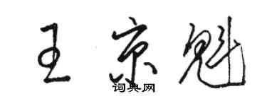 骆恒光王京魁草书个性签名怎么写