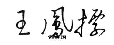 骆恒光王凤标草书个性签名怎么写