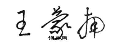 骆恒光王蒙南草书个性签名怎么写