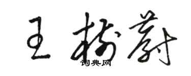 骆恒光王树蔚草书个性签名怎么写
