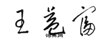 骆恒光王益富草书个性签名怎么写