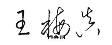 骆恒光王梅真草书个性签名怎么写
