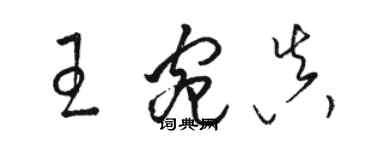 骆恒光王宛真草书个性签名怎么写