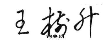 骆恒光王树升草书个性签名怎么写