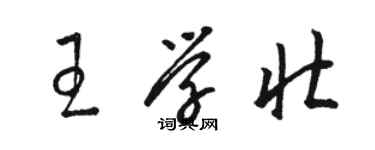 骆恒光王学壮草书个性签名怎么写