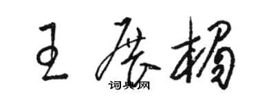 骆恒光王展楣草书个性签名怎么写