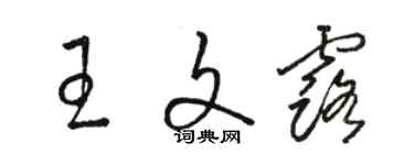 骆恒光王文露草书个性签名怎么写