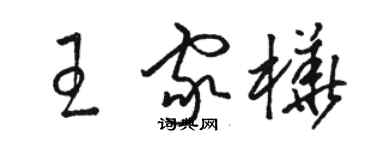 骆恒光王家桦草书个性签名怎么写