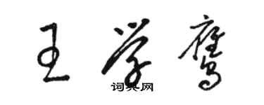 骆恒光王学鹰草书个性签名怎么写