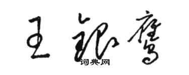 骆恒光王银鹰草书个性签名怎么写