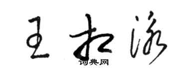 骆恒光王相泳草书个性签名怎么写