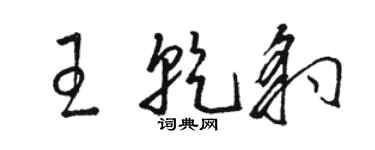 骆恒光王乾豹草书个性签名怎么写