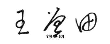 骆恒光王曾田草书个性签名怎么写