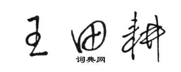骆恒光王田耕草书个性签名怎么写