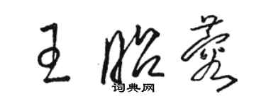 骆恒光王昭蓉草书个性签名怎么写