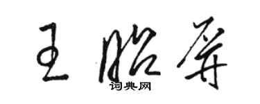 骆恒光王昭屏草书个性签名怎么写