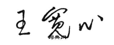 骆恒光王宽心草书个性签名怎么写