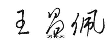 骆恒光王昌佩草书个性签名怎么写