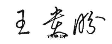 骆恒光王贵盼草书个性签名怎么写