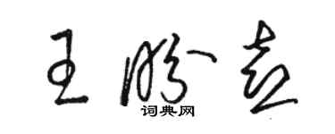 骆恒光王盼喜草书个性签名怎么写