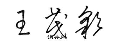 骆恒光王茂彩草书个性签名怎么写