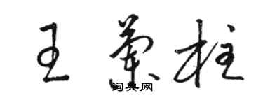 骆恒光王兰柱草书个性签名怎么写