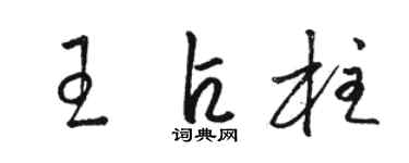 骆恒光王占柱草书个性签名怎么写