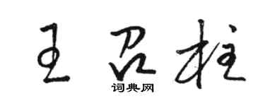 骆恒光王召柱草书个性签名怎么写