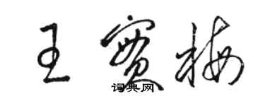 骆恒光王实梅草书个性签名怎么写