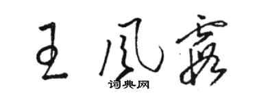 骆恒光王风霞草书个性签名怎么写