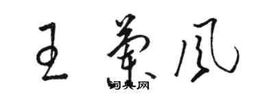 骆恒光王兰风草书个性签名怎么写