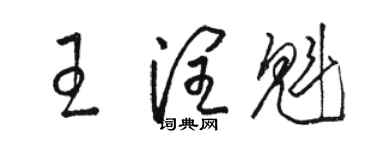 骆恒光王润魁草书个性签名怎么写