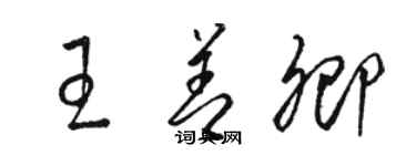 骆恒光王善卿草书个性签名怎么写