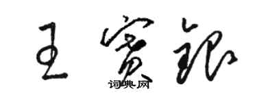 骆恒光王赛银草书个性签名怎么写