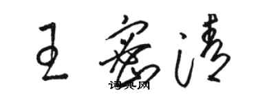 骆恒光王密清草书个性签名怎么写
