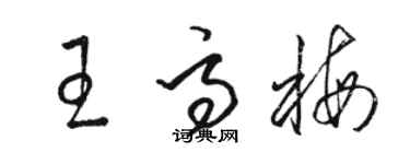 骆恒光王高梅草书个性签名怎么写