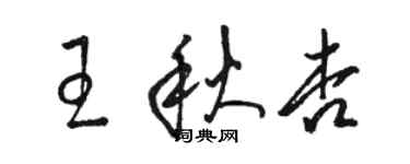 骆恒光王秋杏草书个性签名怎么写