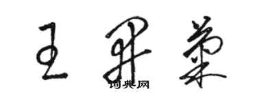骆恒光王开菊草书个性签名怎么写