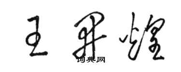 骆恒光王开煌草书个性签名怎么写