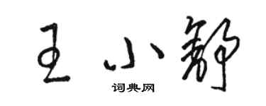 骆恒光王小舒草书个性签名怎么写