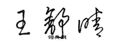 骆恒光王舒晴草书个性签名怎么写