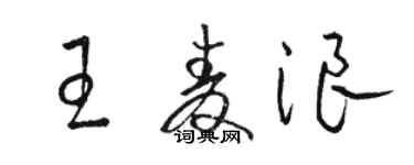 骆恒光王麦浪草书个性签名怎么写