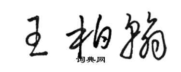 骆恒光王柏翰草书个性签名怎么写